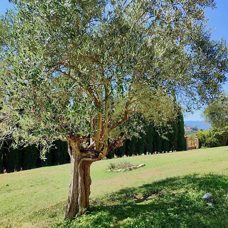 The Monastery - St Antimo Monterchi