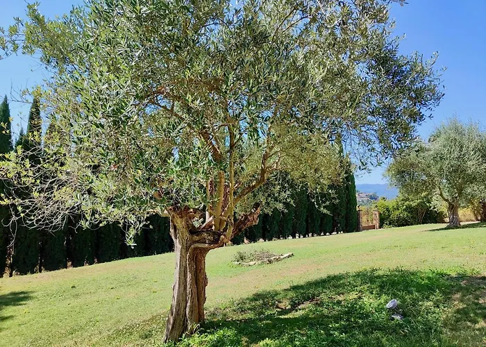 The Monastery - St Antimo Monterchi